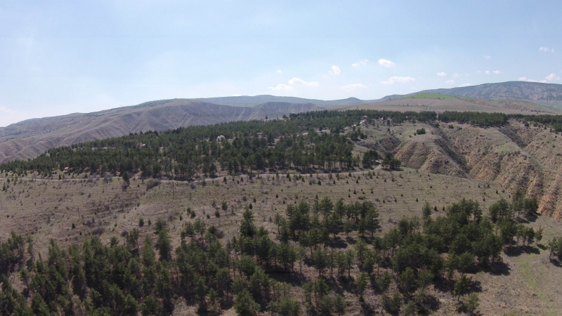 Kenbağ Tabiat Parkı